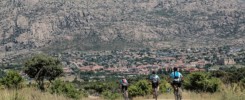 Camino de Santiago